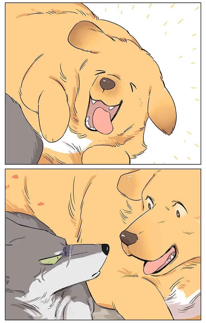 Read The Wolf That Picked Something Up chapter 49 image 5 on Lezhin