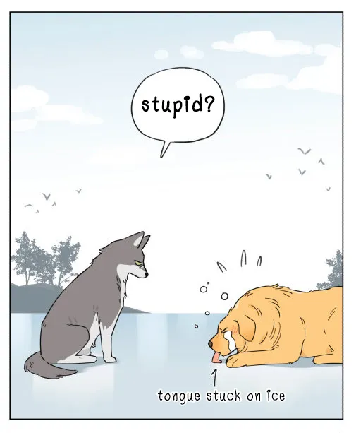 Read The Wolf That Picked Something Up chapter 5 image 1 on Lezhin