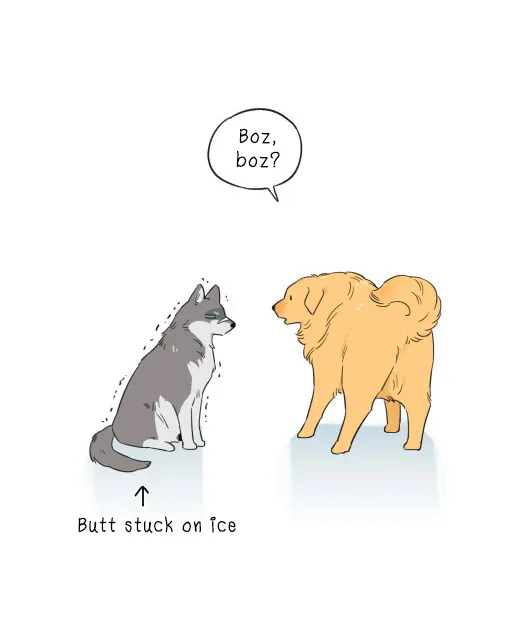 Read The Wolf That Picked Something Up chapter 5 image 11 on Lezhin