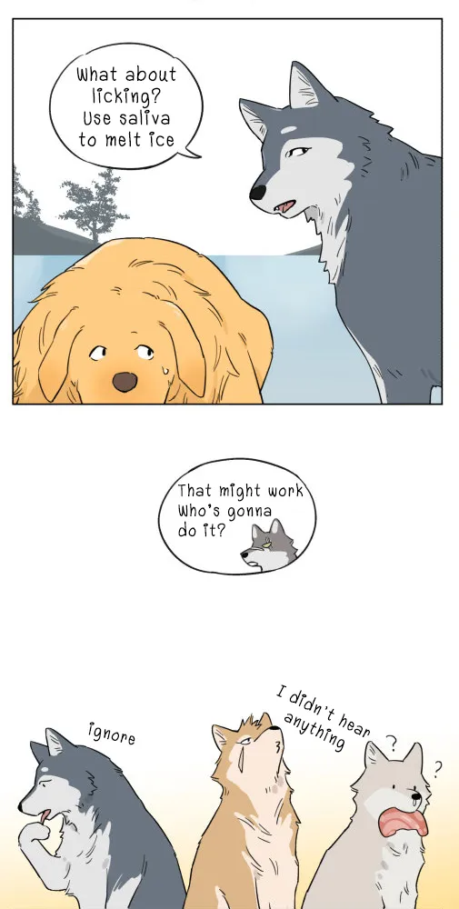 Read The Wolf That Picked Something Up chapter 5 image 5 on Lezhin