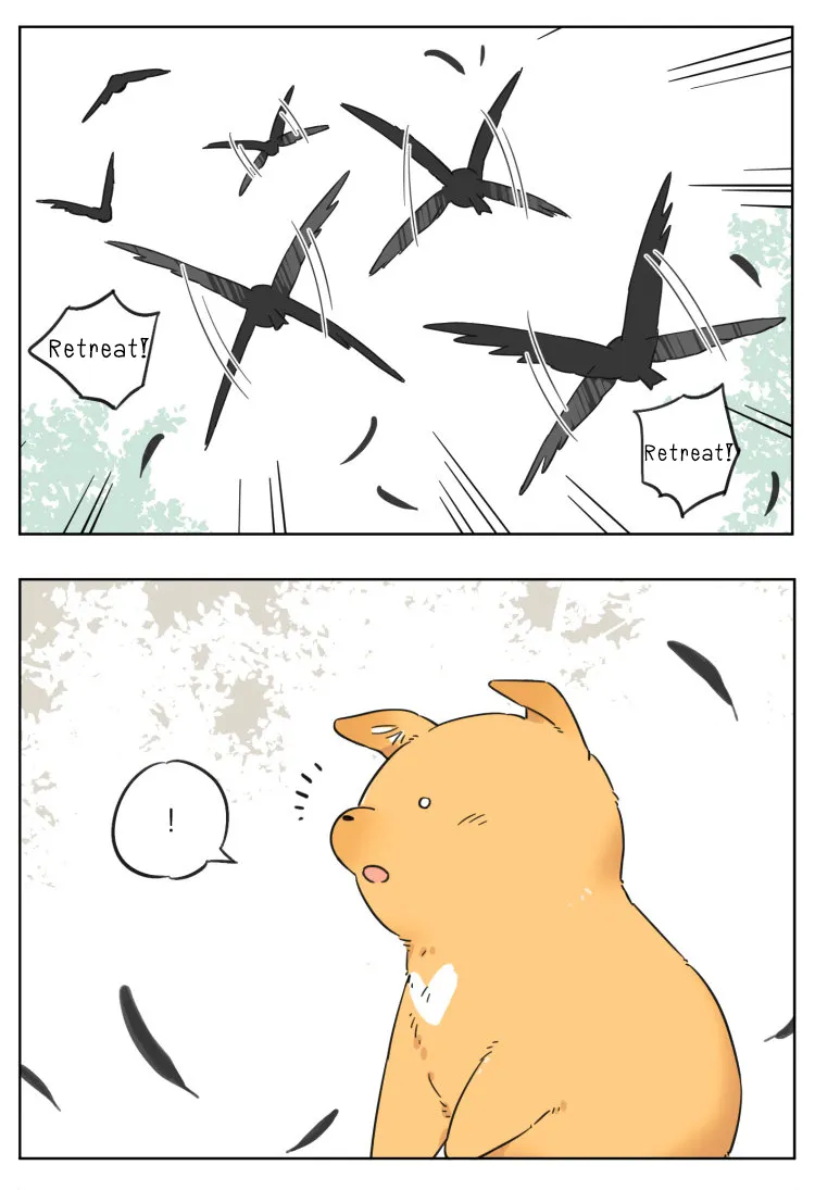 Read The Wolf That Picked Something Up chapter 6 image 11 on Lezhin