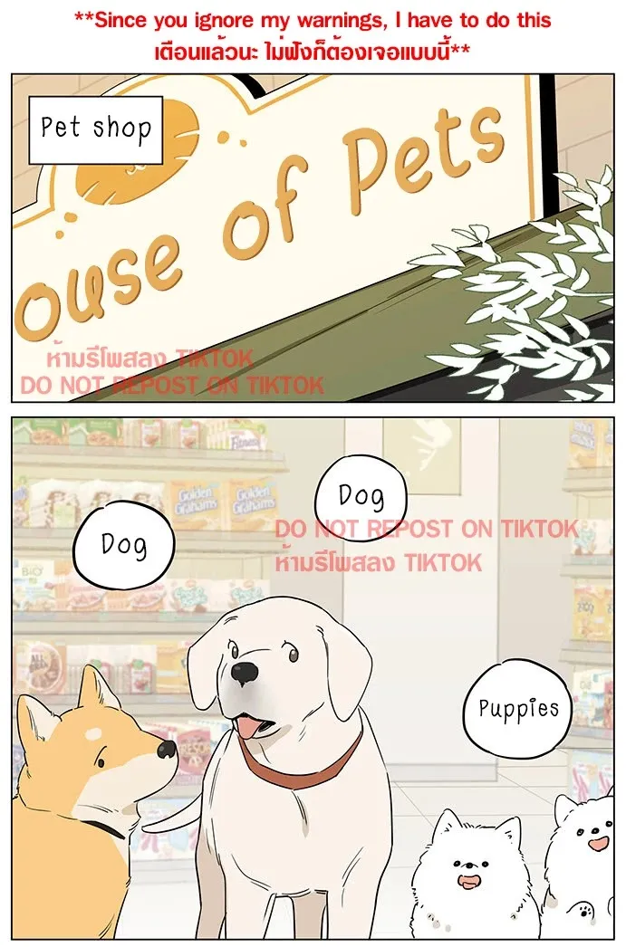 Read The Wolf That Picked Something Up chapter 61 image 1 on Lezhin