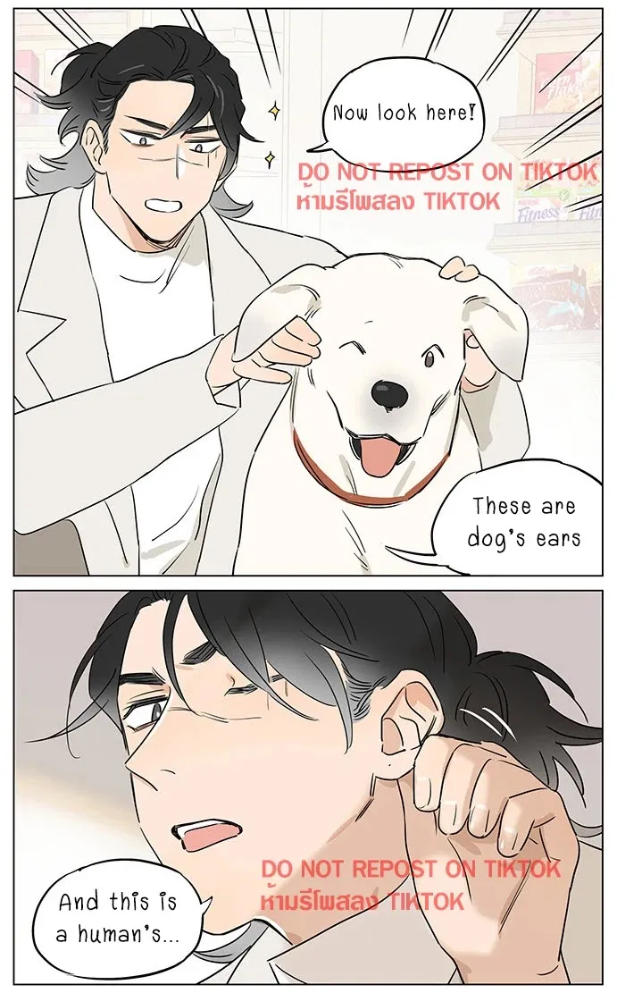 Read The Wolf That Picked Something Up chapter 61 image 11 on Lezhin