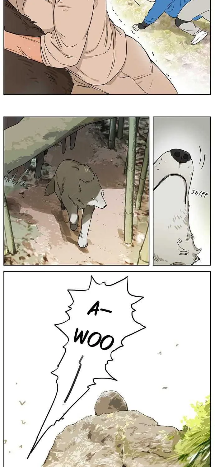 Read The Wolf That Picked Something Up chapter 75 image 6 on Lezhin