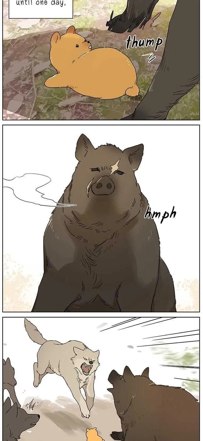 Read The Wolf That Picked Something Up chapter 76 image 4 on Lezhin
