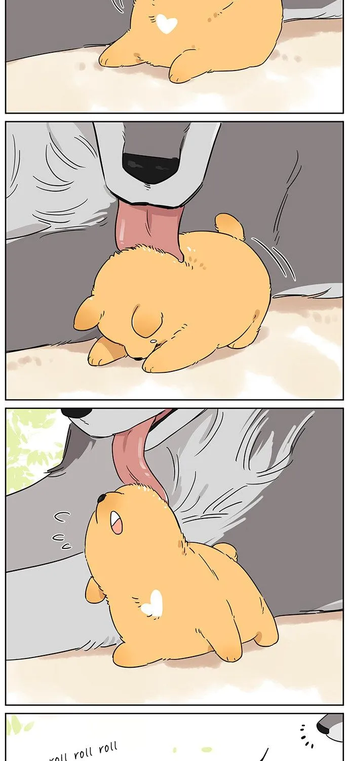 Read The Wolf That Picked Something Up chapter 80 image 2 on Lezhin