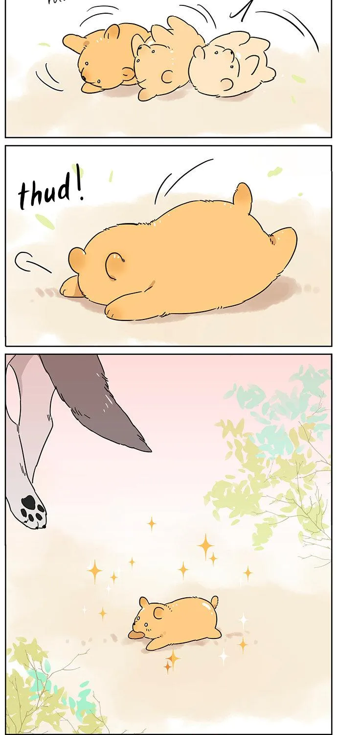 Read The Wolf That Picked Something Up chapter 80 image 3 on Lezhin