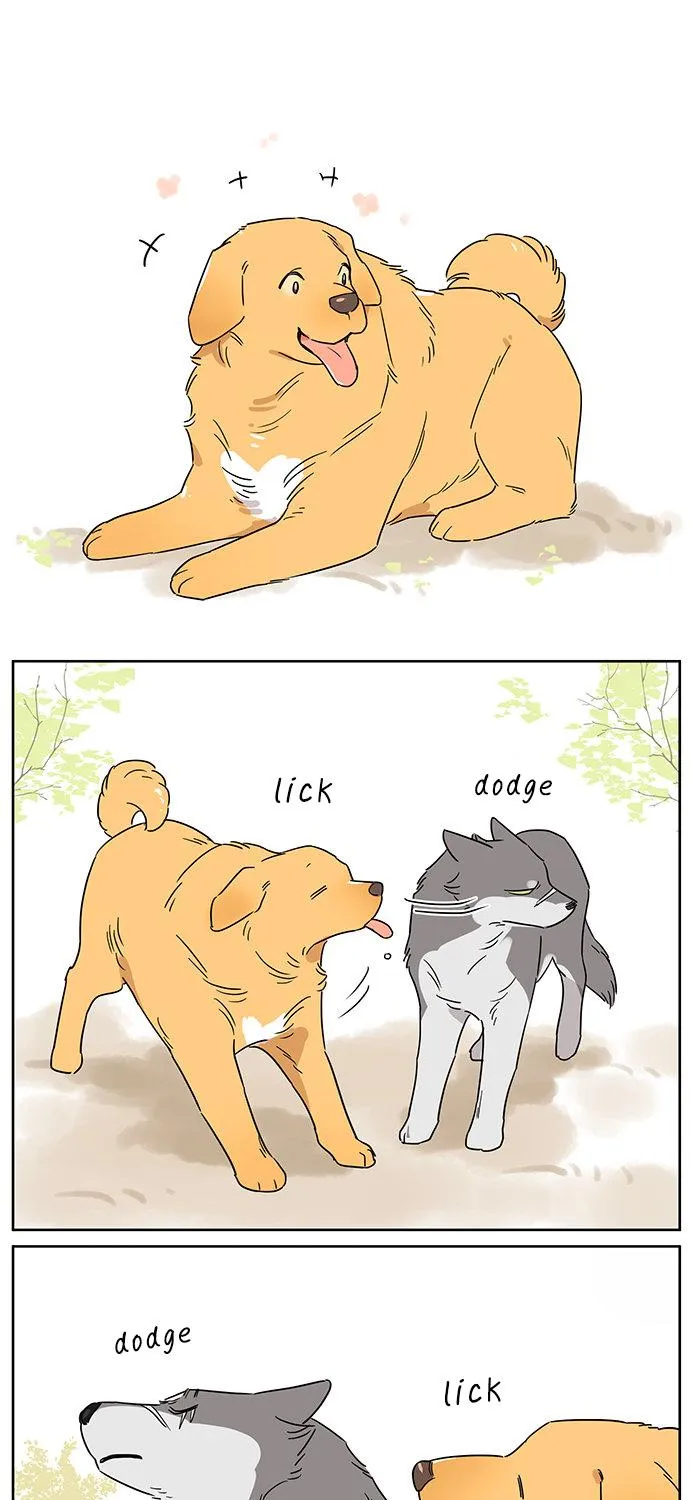 Read The Wolf That Picked Something Up chapter 80 image 5 on Lezhin