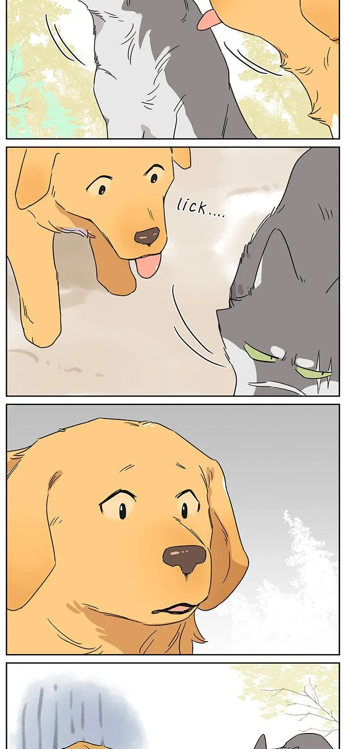Read The Wolf That Picked Something Up chapter 80 image 6 on Lezhin
