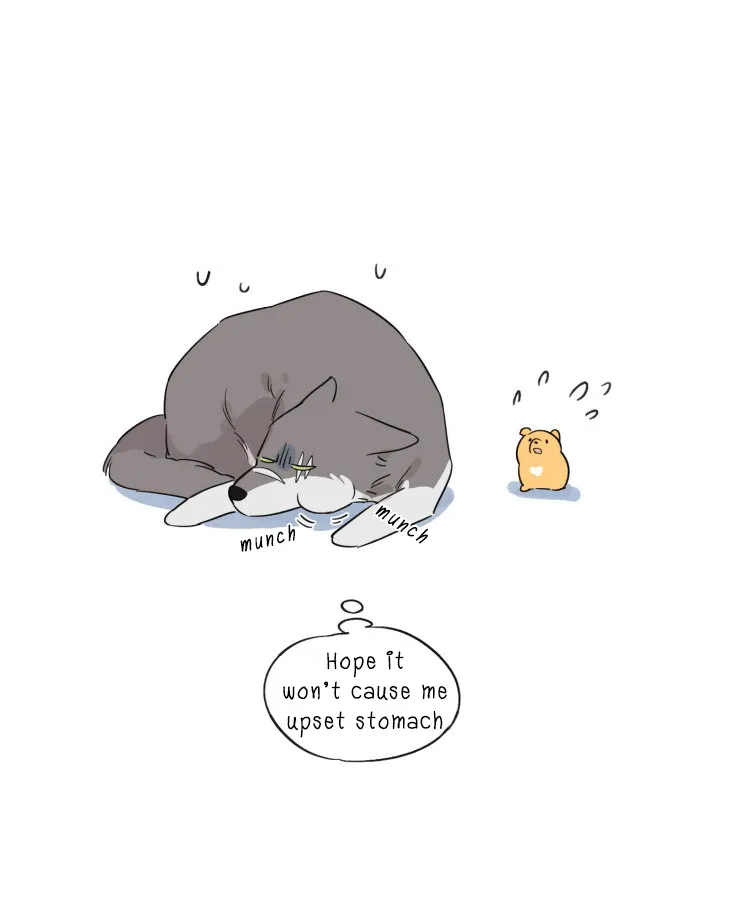 Read The Wolf That Picked Something Up chapter 9 image 11 on Lezhin