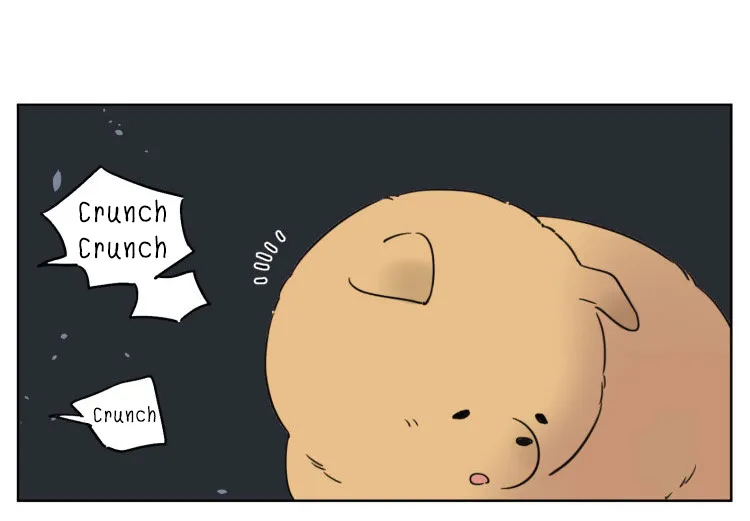 Read The Wolf That Picked Something Up chapter 9 image 9 on Lezhin