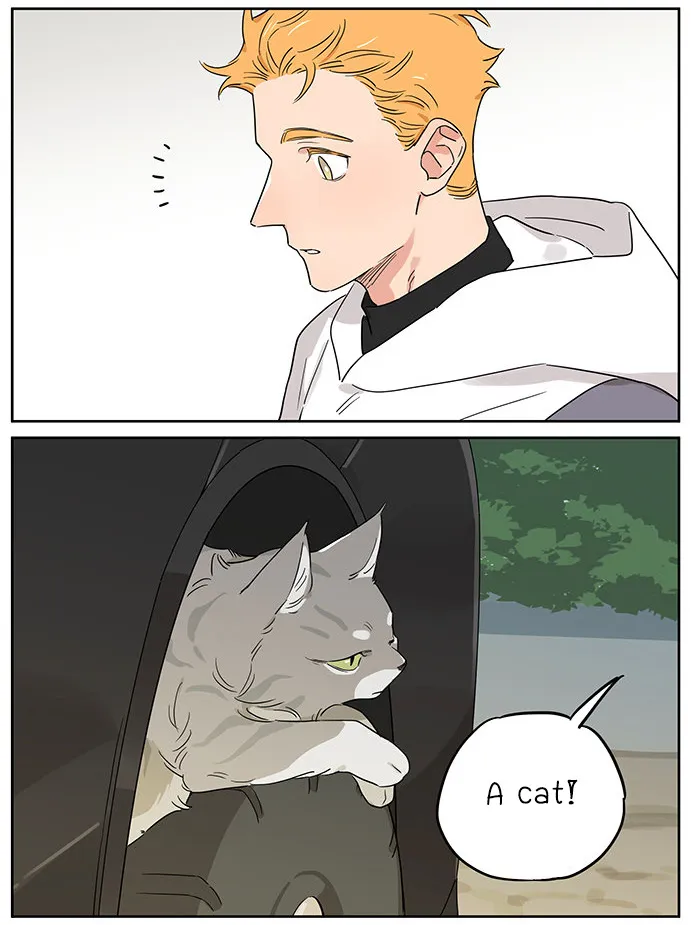 Read The Wolf That Picked Something Up chapter 90 image 1 on Lezhin