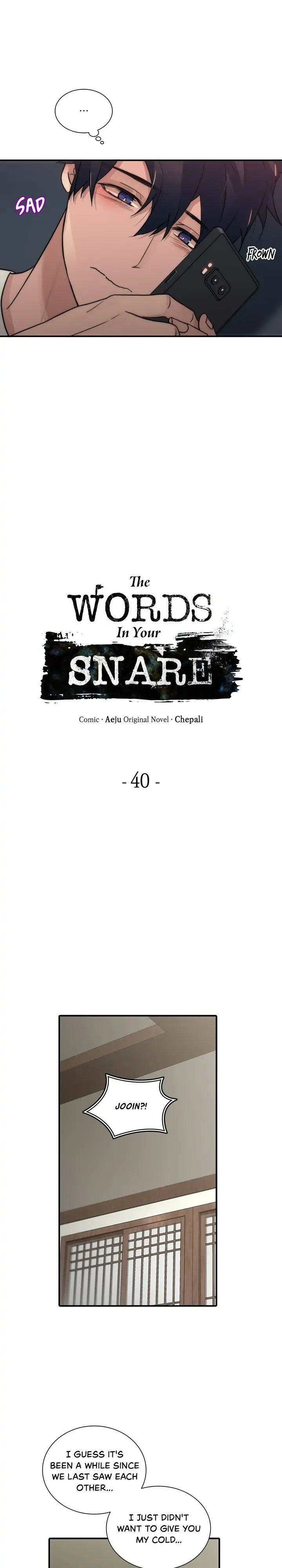 The Words In Your Snare Chapter 40 page 2 - 