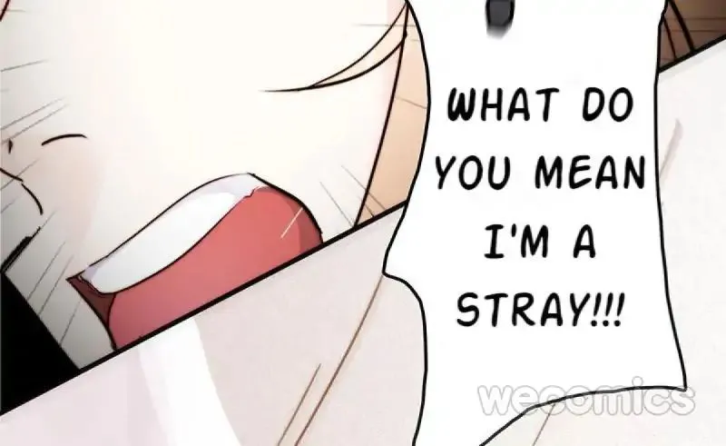 Read The Worst Infatuation chapter 11 image 48 on Lezhin