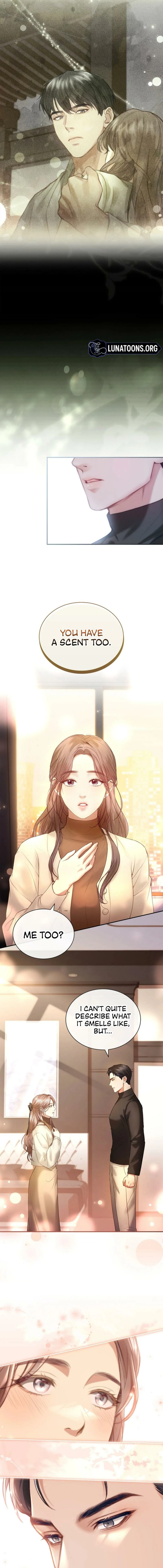 The Young Wife Chapter 16 page 7 - 