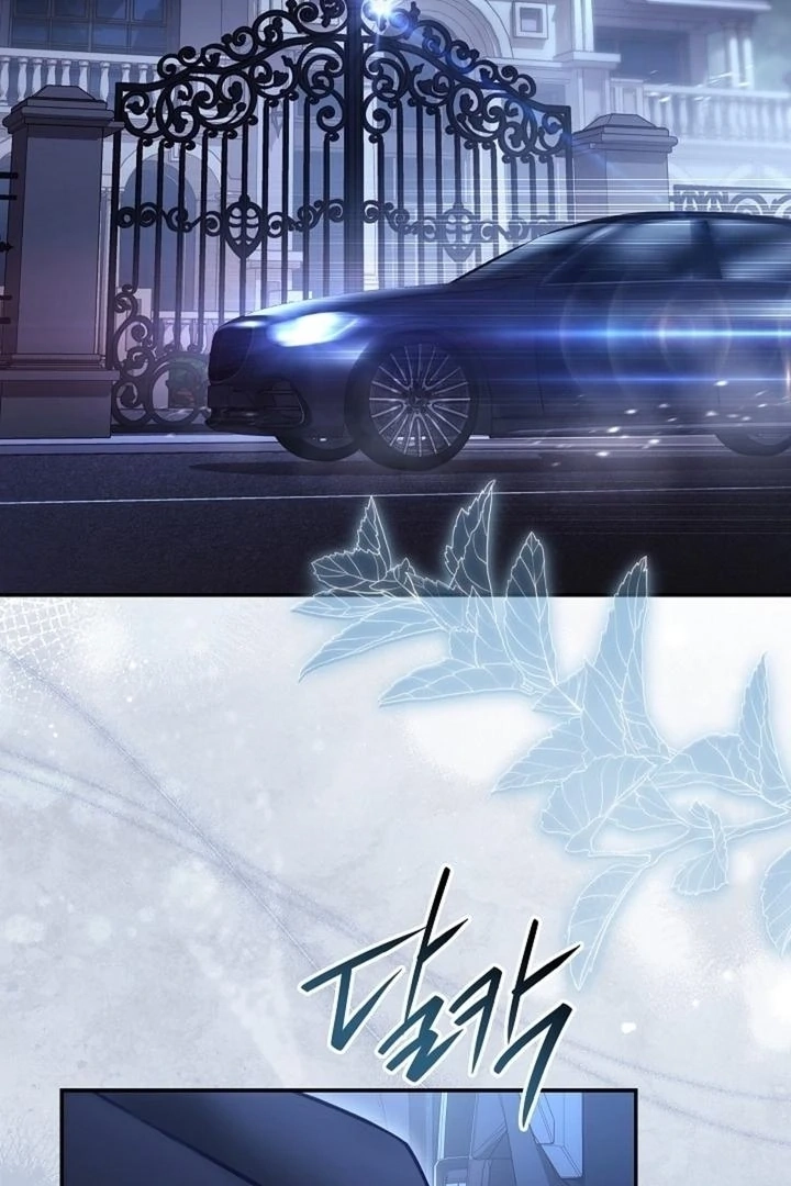 The Young Wife Chapter 51 page 3 - 