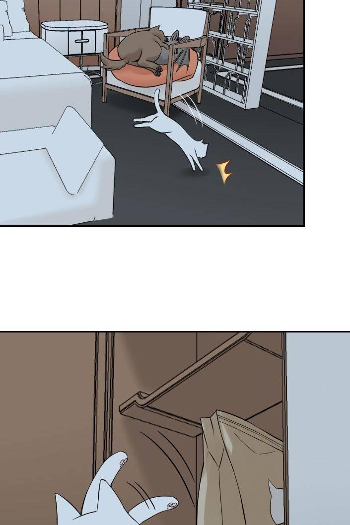 Read The Zombie And The Vampire chapter 108 image 3 on Lezhin