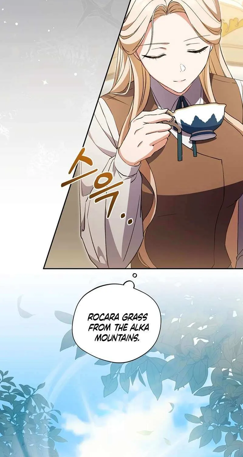 There Is No Need to be Obsessed with me Chapter 11 page 26 - 