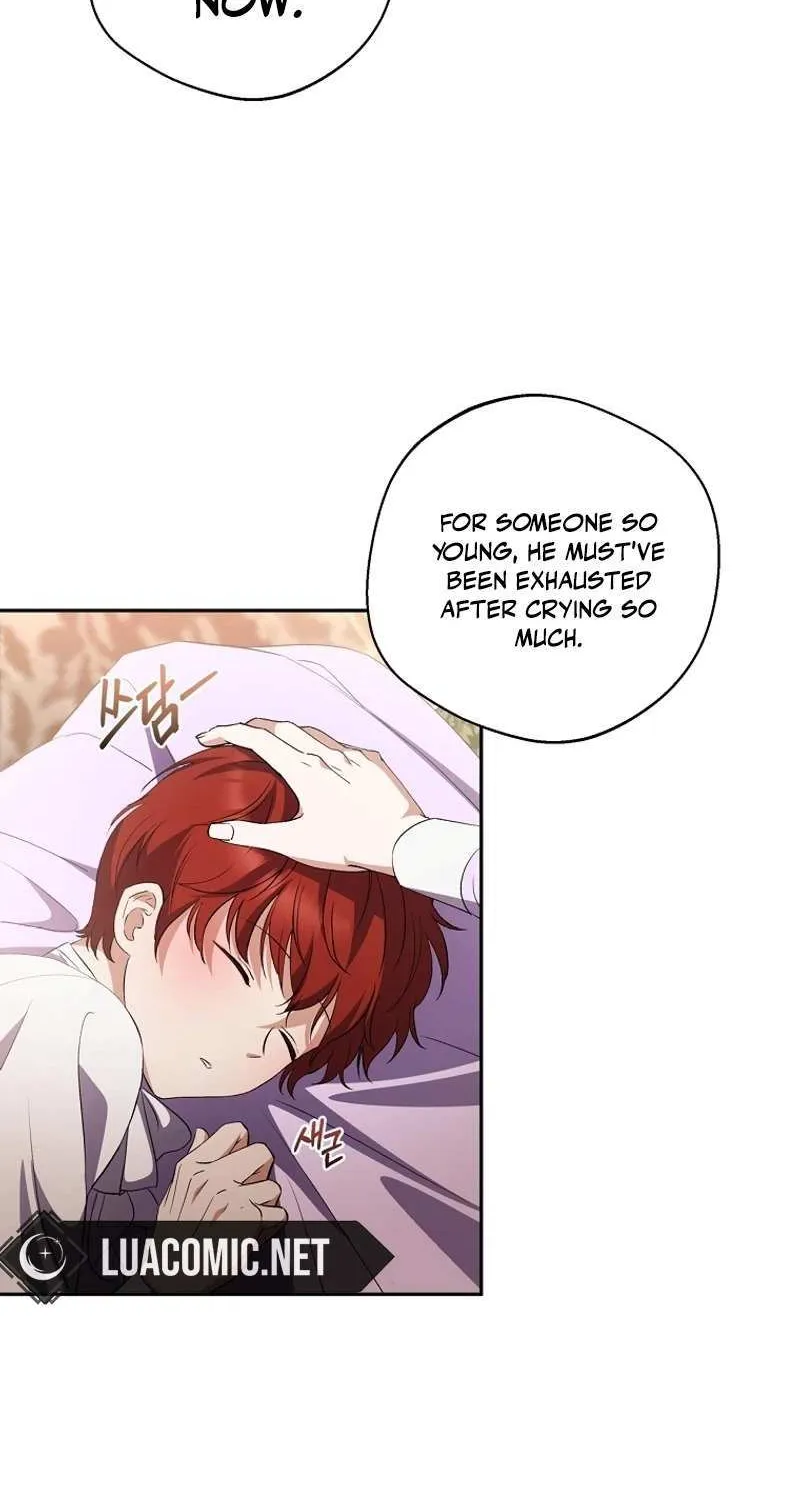 There Is No Need to be Obsessed with me Chapter 21 page 27 - 