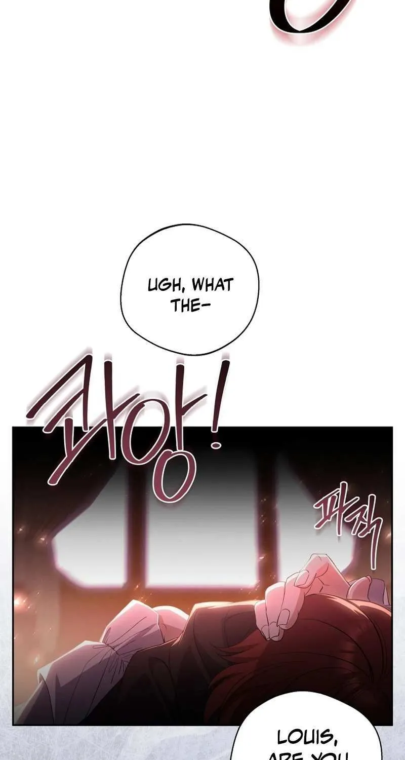 There Is No Need to be Obsessed with me Chapter 21 page 73 - 