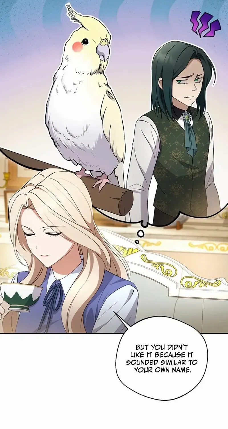 There Is No Need to be Obsessed with me Chapter 3 page 14 - 