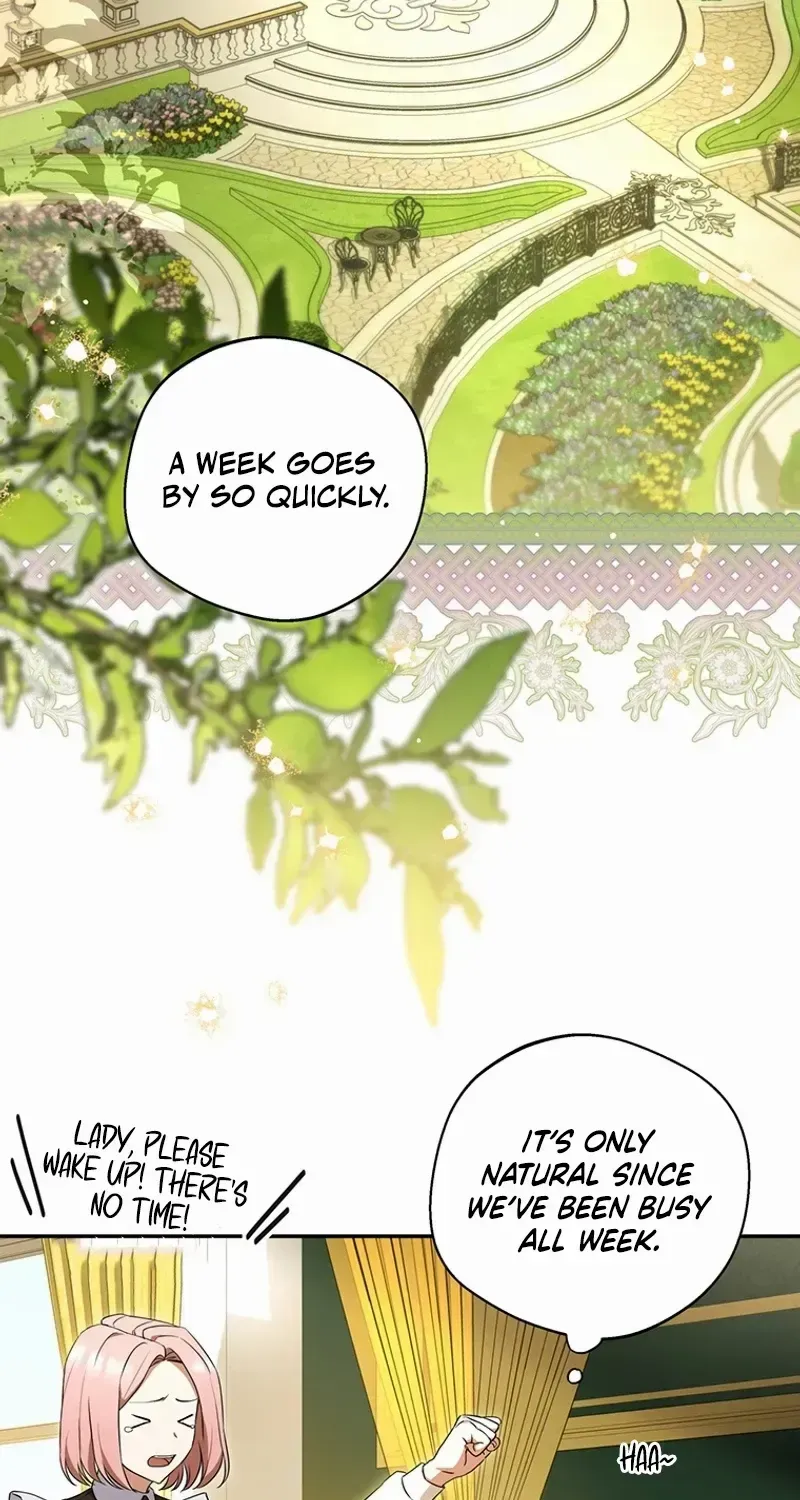There Is No Need to be Obsessed with me Chapter 3 page 67 - 