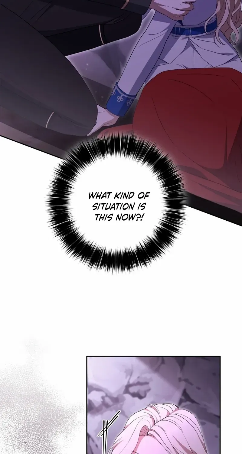 There Is No Need to be Obsessed with me Chapter 31 page 27 - 