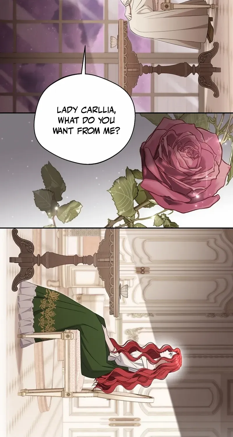 There Is No Need to be Obsessed with me Chapter 34 page 26 - 