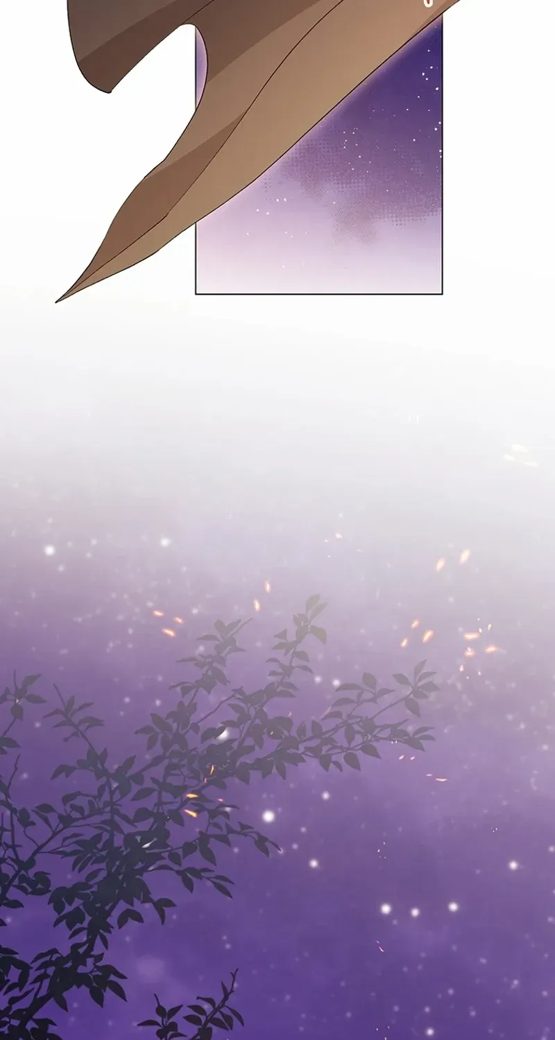 There Is No Need to be Obsessed with me Chapter 36 page 67 - 