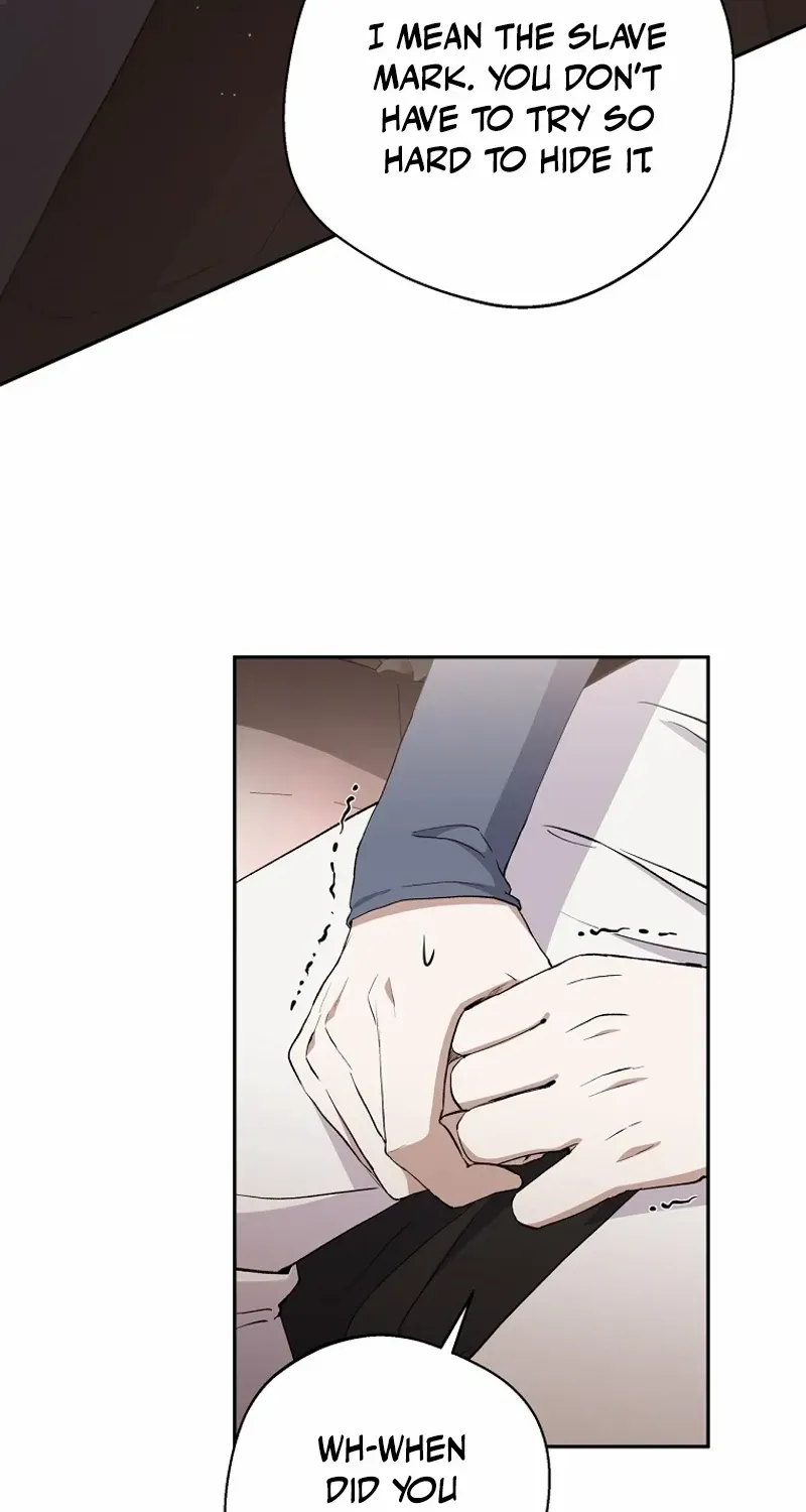 There Is No Need to be Obsessed with me Chapter 37 page 15 - 