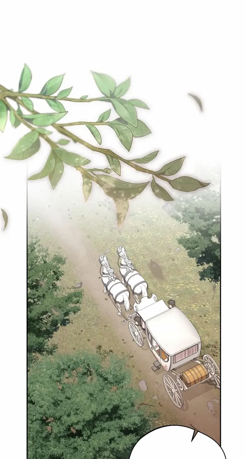 There Is No Need to be Obsessed with me Chapter 37 page 3 - 