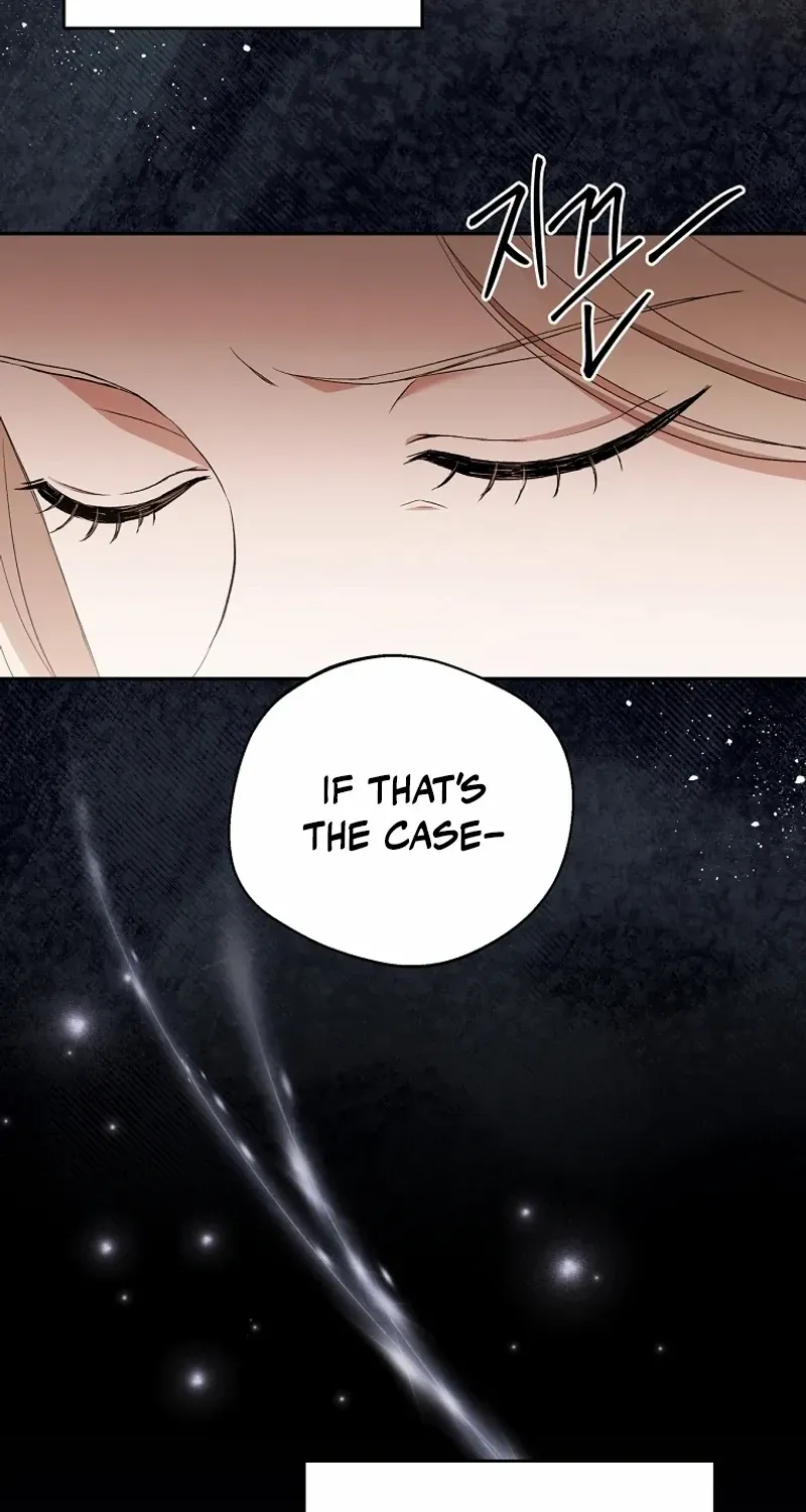 There Is No Need to be Obsessed with me Chapter 37 page 27 - 
