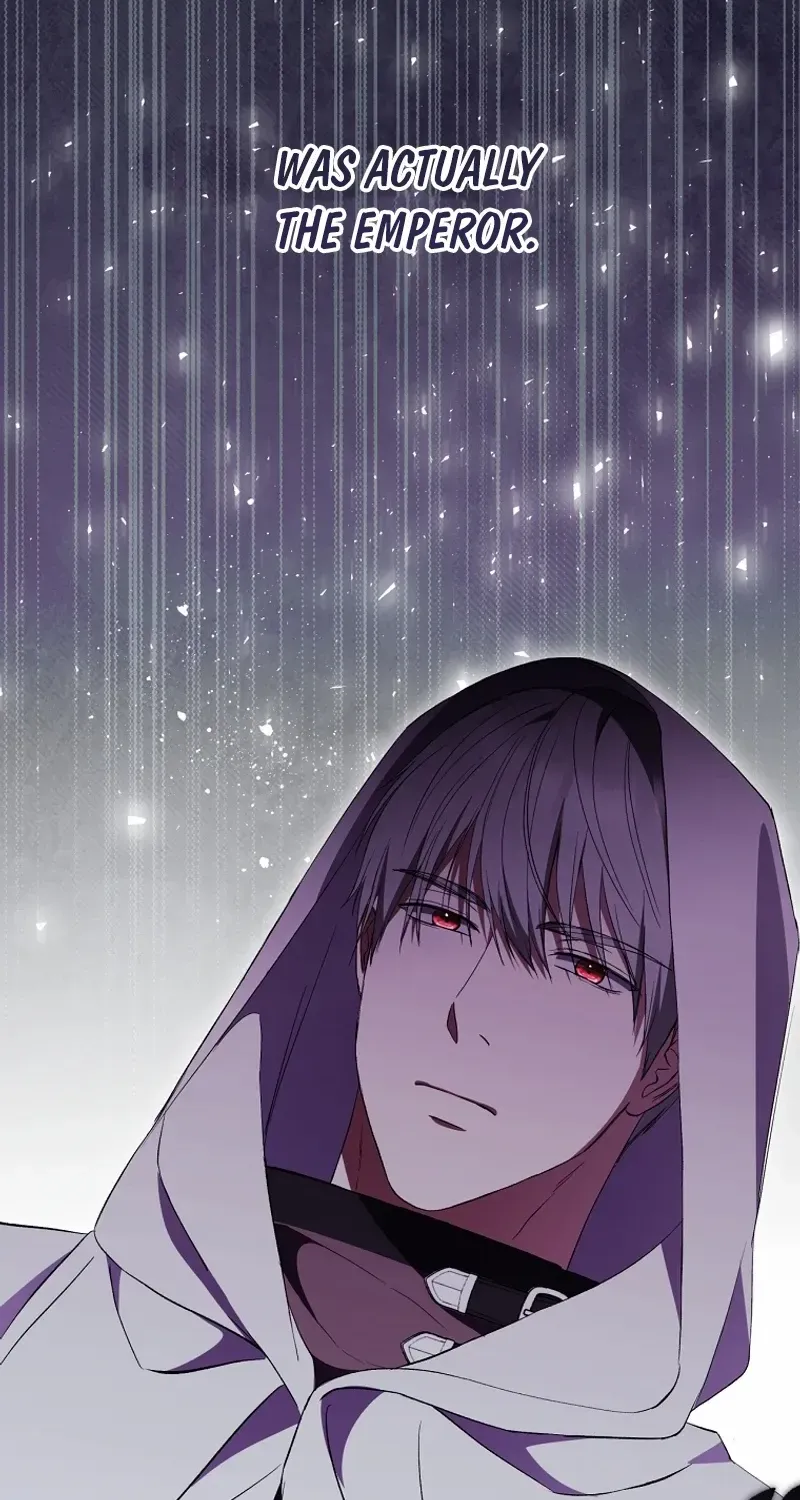 There Is No Need to be Obsessed with me Chapter 37 page 29 - 
