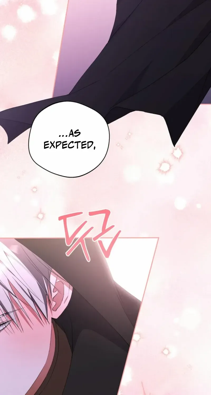 There Is No Need to be Obsessed with me Chapter 38 page 63 - 