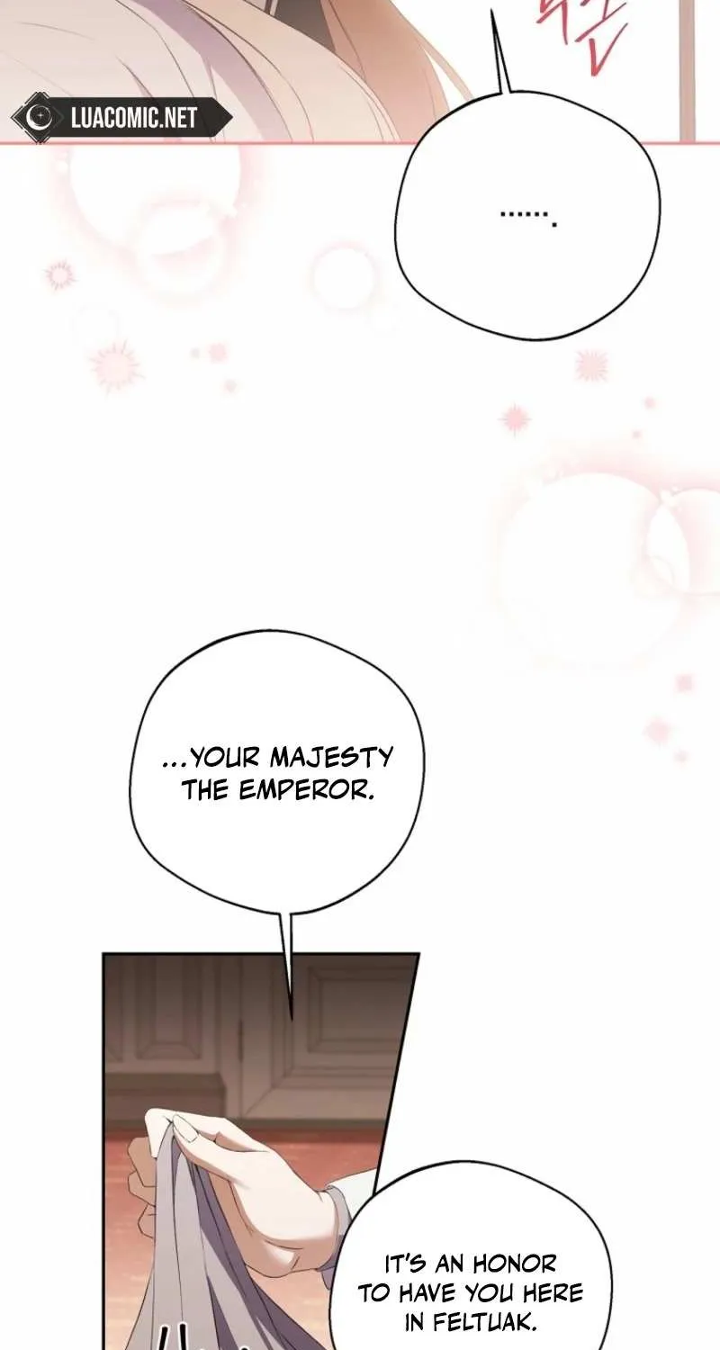 There Is No Need to be Obsessed with me Chapter 44 page 47 - 