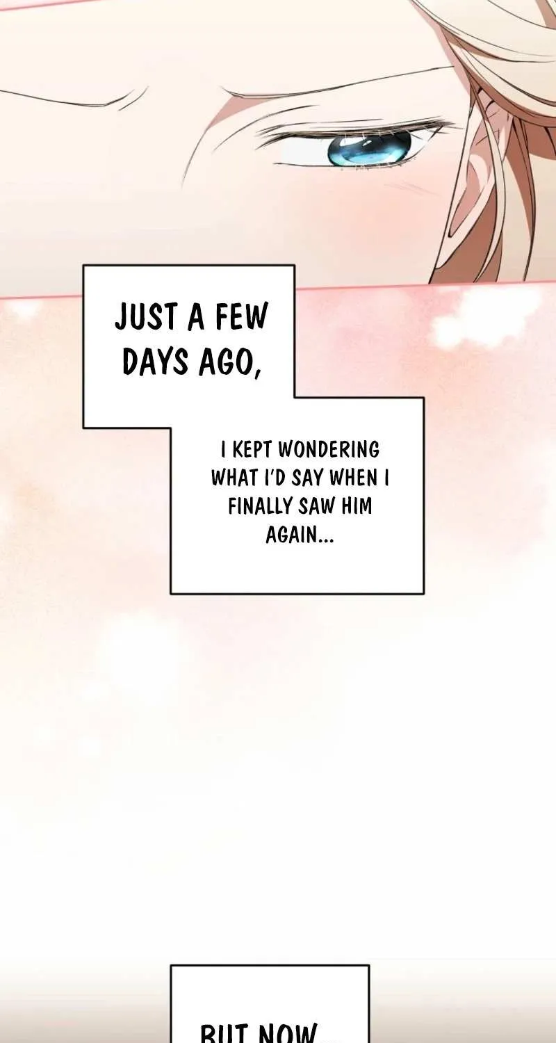 There Is No Need to be Obsessed with me Chapter 44 page 67 - 
