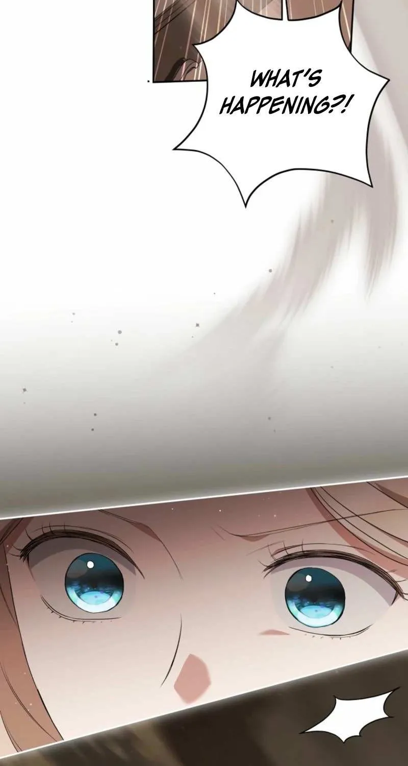 There Is No Need to be Obsessed with me Chapter 44 page 82 - 