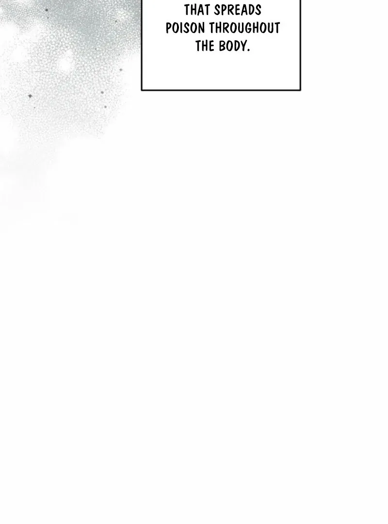 There Is No Need to be Obsessed with me Chapter 52 page 61 - 