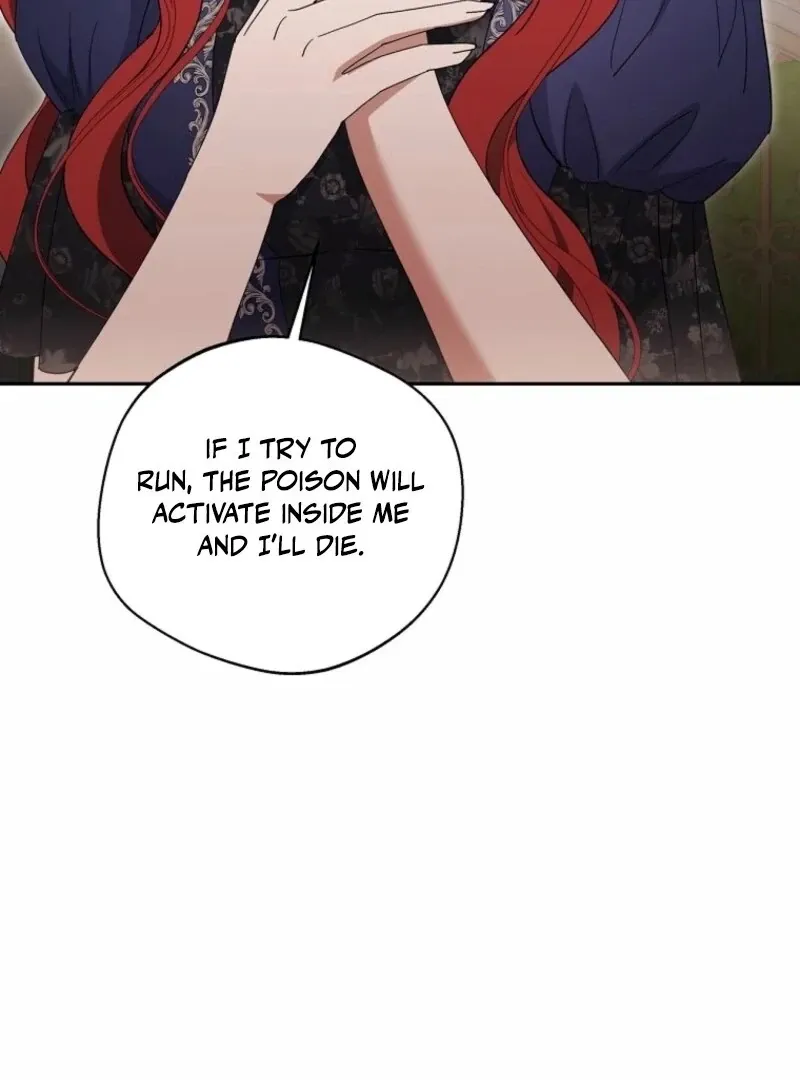 There Is No Need to be Obsessed with me Chapter 52 page 67 - 