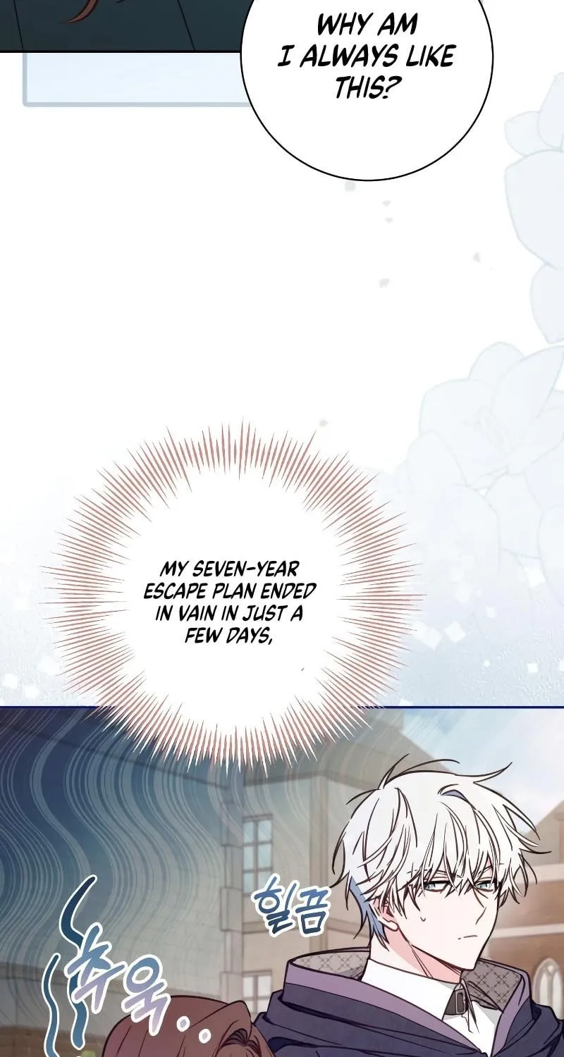 There Is No Place for Fakes Chapter 48 page 46 - 