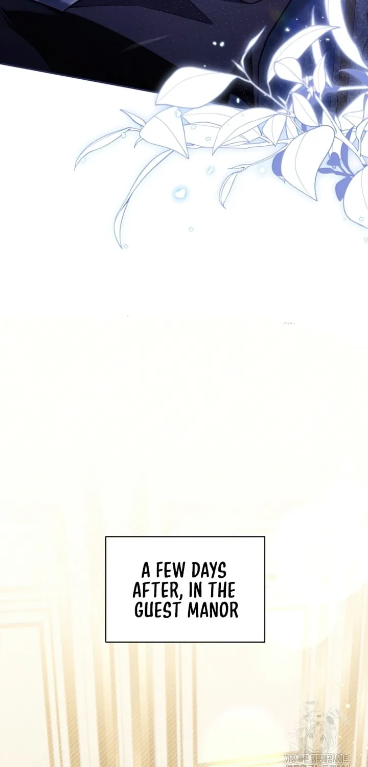 There Is No Place for Fakes Chapter 51 page 39 - 