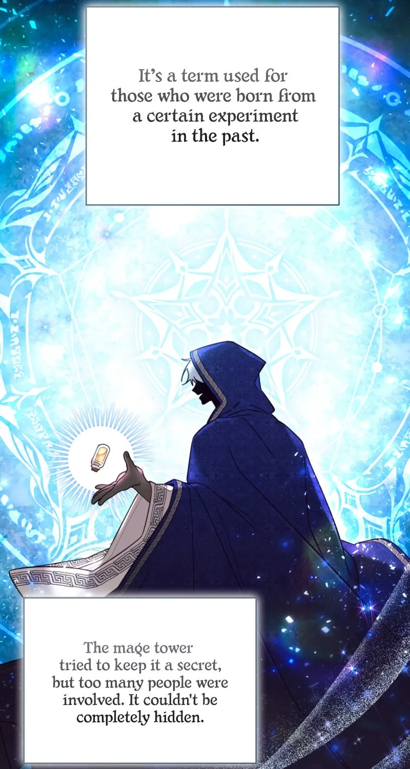 There Is No Place for Fakes Chapter 56 page 41 - 