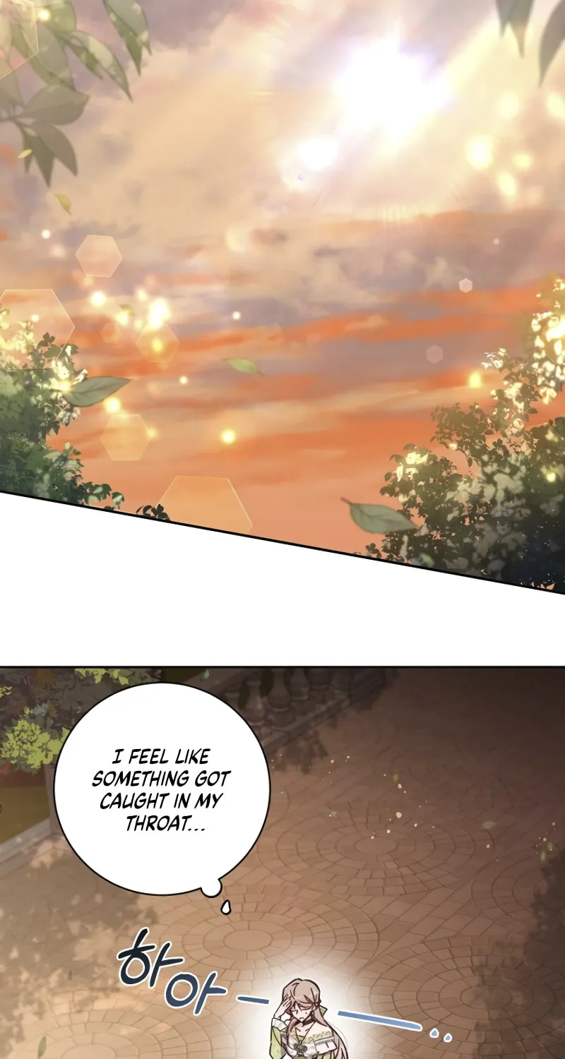 There Is No Place for Fakes Chapter 64 page 28 - 