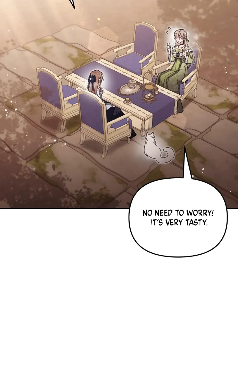 There Is No Place for Fakes Chapter 64 page 41 - 