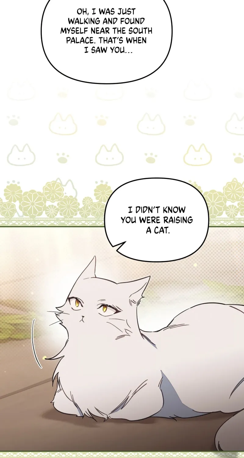 There Is No Place for Fakes Chapter 64 page 44 - 