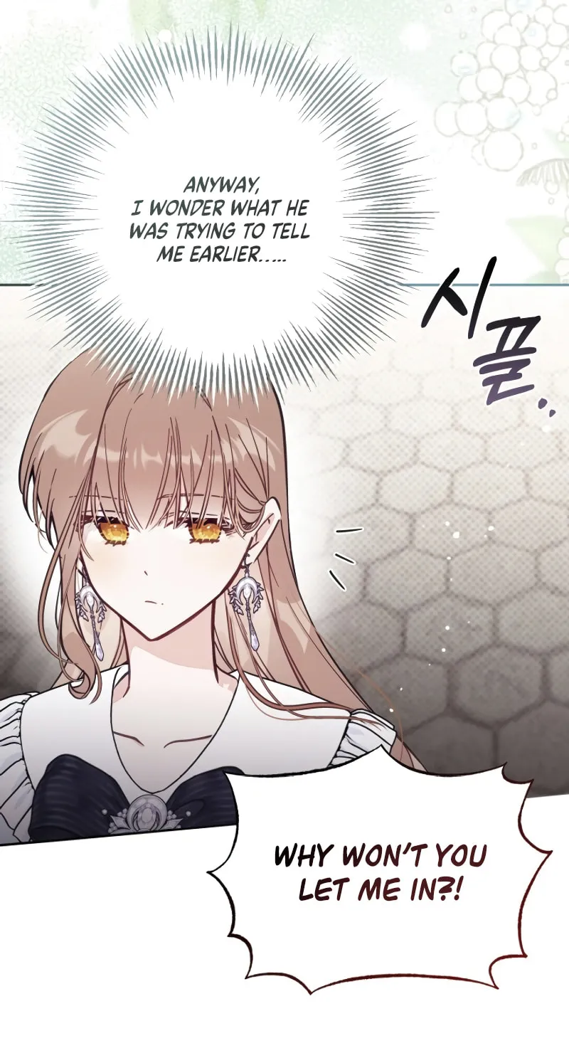 There Is No Place for Fakes Chapter 65 page 63 - 