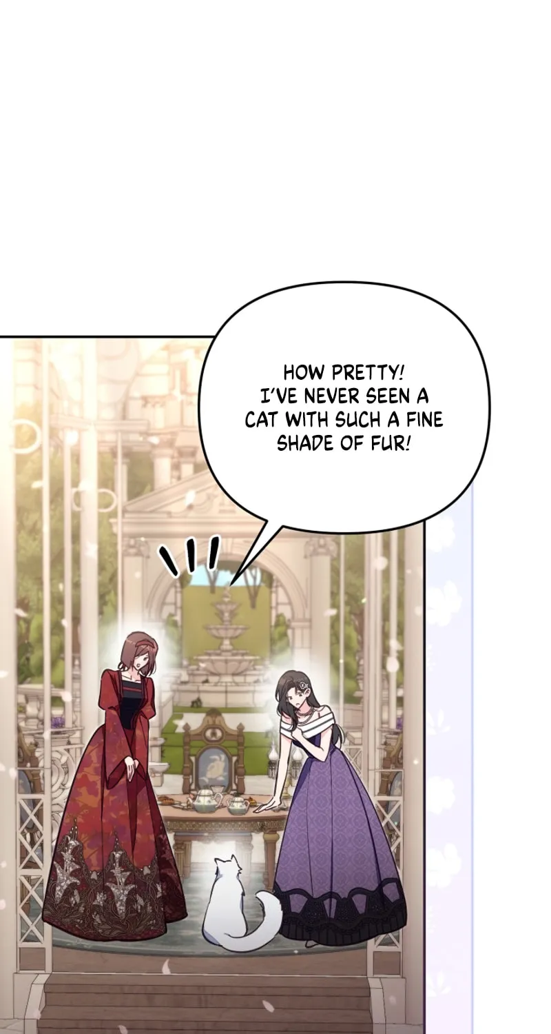 There Is No Place for Fakes Chapter 69 page 63 - 