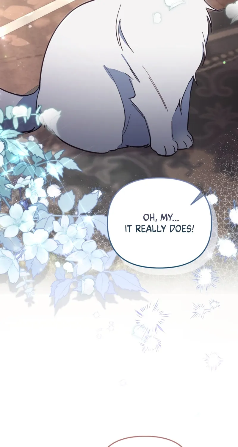 There Is No Place for Fakes Chapter 69 page 65 - 