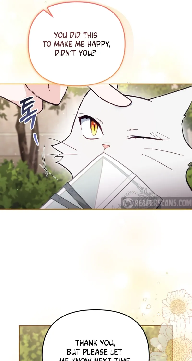 There Is No Place for Fakes Chapter 69 page 72 - 