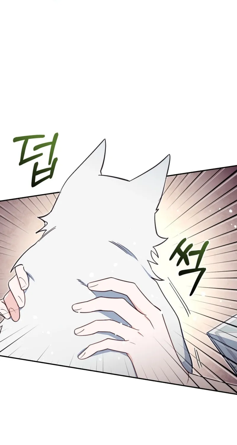 There Is No Place for Fakes Chapter 69 page 77 - 